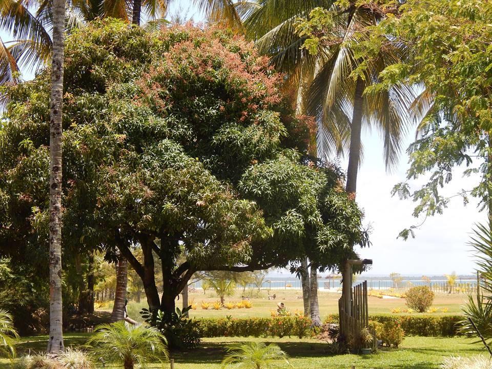 Pousada Aguazul Marau  Exterior photo